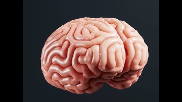 Brain Wrinkles Test Using Blender Geometry Nodes Reaction Diffusion #blender #geometrynodes #shorts