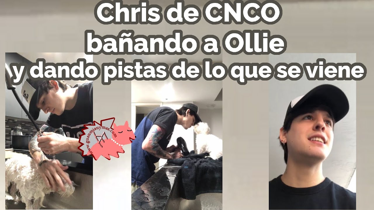 Christopher de CNCO bañando a Ollie y dando pistas de lo que se viene con Lalo #Cnco #Ollie #Lalo