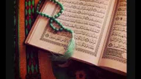 سورة الزلزله - بصوت الشيخ وديع اليمني