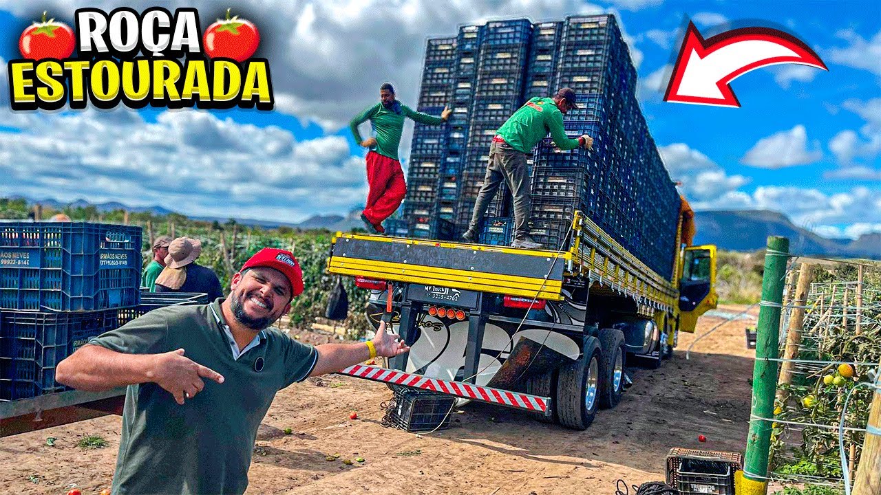 CHEGUEI NO PICO DA COLHEITA PRA CARREGAR O DMENOR