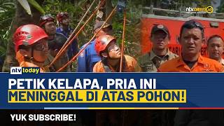 Tim SAR Evakuasi Pria Meninggal di Atas Pohon Kelapa di Purbalingga | NTV TODAY
