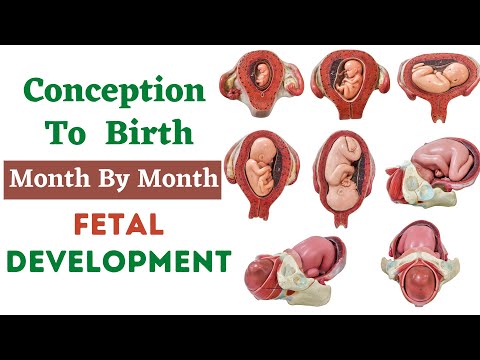 Video: Cum Se Determină Creșterea Fetală