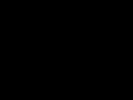 الملكة اريج التونسية