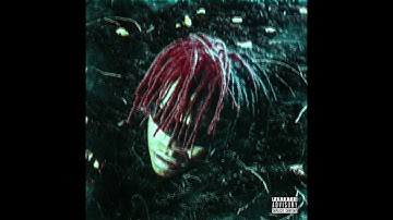 DC the Don- Bankrupt :/ (but the intro is beautiful)