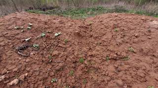 видео: Глина и другие компоненты моего субстрата для суккулентов картинка: Глина и другие компоненты моего субстрата для суккулентов