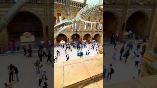 Natural history museum London 🇬🇧
