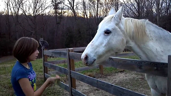 Brianna & Melissa Metzger's talking horse "Elmer"!...