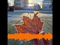 Желтый лист | Cover Г. МАНАПОВ, душевный шансон