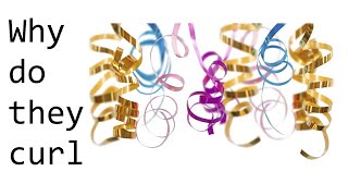 Why do ribbons curl when ran along scissors Why Do Ribbons Curl