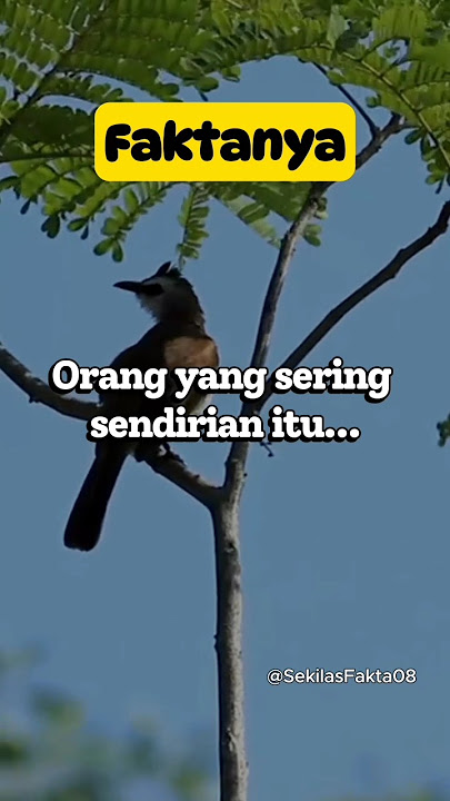 Mereka yang suka menyendiri itu... #faktapsikologi #psikologi #shortsvideo #kepribadian