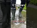 台風で散歩道が冠水した愛犬の歌【強風オールバック替え歌 /Yukopi】#shorts