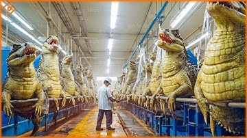 118 Satisfying Videos Modern Food Technology Processing Machines That Are At Another Level ▶67