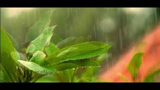 SOFT LITTLE WATERFALL WATER LAPLING by #saidchakrimelomany screenshot 4