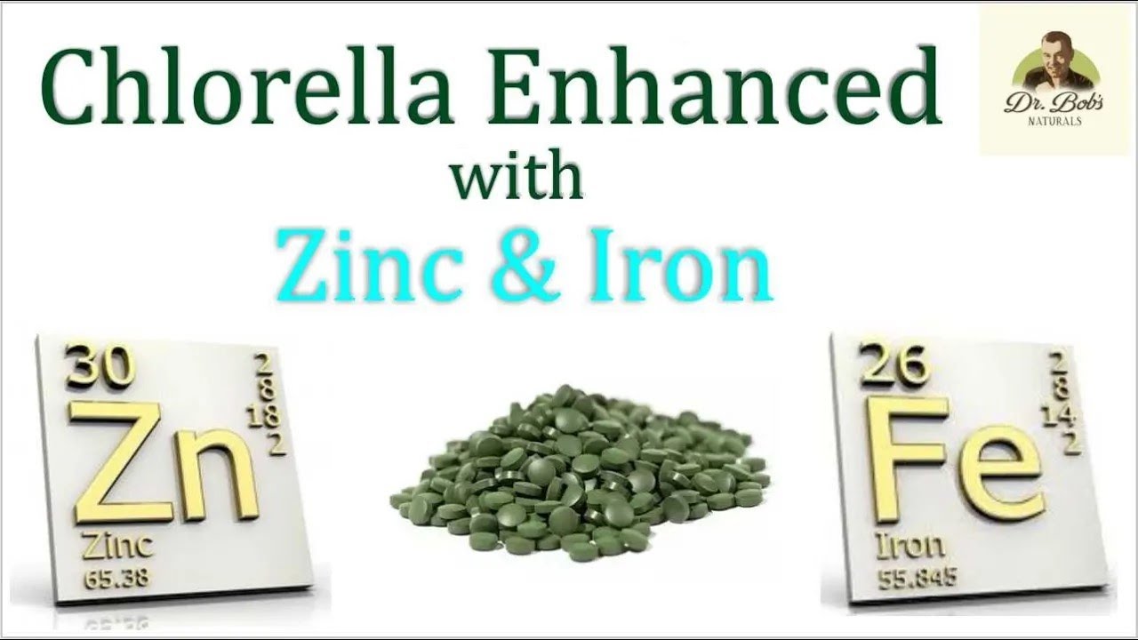 Zinc and Iron Both Required for Men and Women YouTube