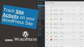 Track Site Activity on your WordPress Site