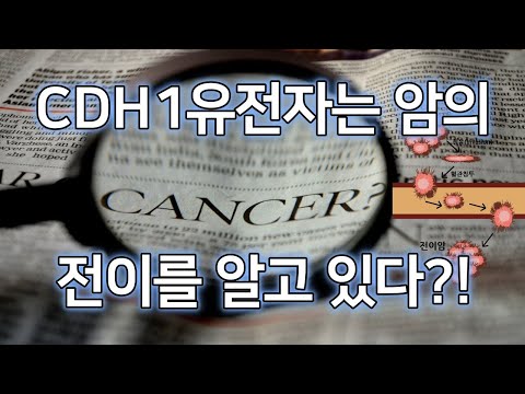 CDH1 유전자는 암의 전이를 알고 있다?!