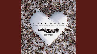 What You Won'T Do For Love (Laidback Luke Remix)