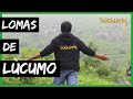 Lomas de Lúcumo (Pachacamac) como llegar desde lima 🌱 || Recorriendo Lima