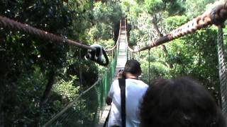the 128m suspension bridge at Monkeyland