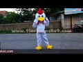 Kostum Badut - Maskot Ayam Lucu dan menggemaskan