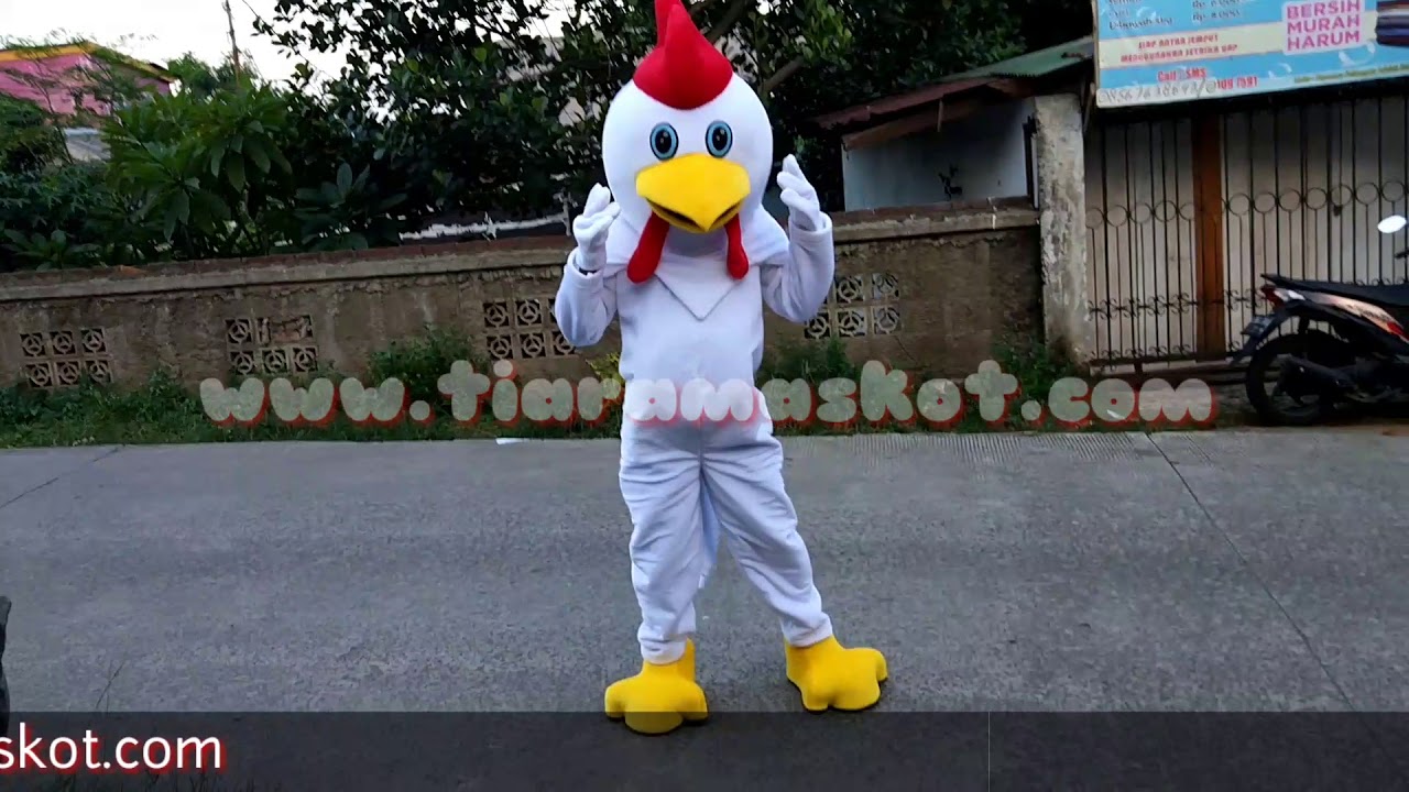 Kostum Badut Maskot Ayam Lucu Dan Menggemaskan