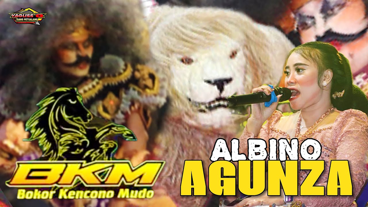 NEW RELEASE ‼️JARANAN BROTOSENO BOKOR KENCONO MUDO (BKM) - SINGA ALBINO AGUNZA - KRAGILAN TENGARAN