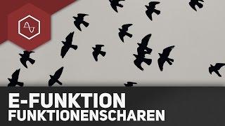 Funktionsscharen bei e-Funktionen