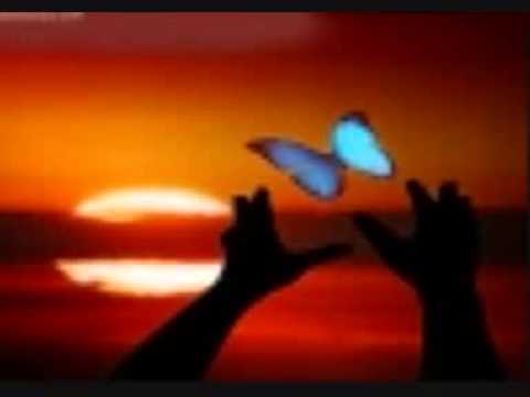 الأخ أبو لباب ة الأثري وم وضوع الغيب ة