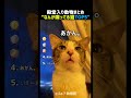 なんか喋ってる猫TOP5 パート2 🐱💬