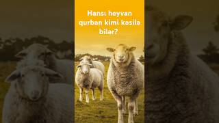 Hansı Heyvan Növlərindən Qurban Kəsmək Olar?