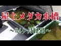 屋上メダカ水槽～34ヶ月経過～