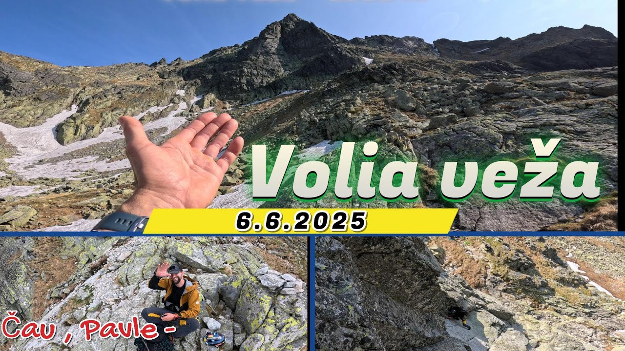 Volia veža