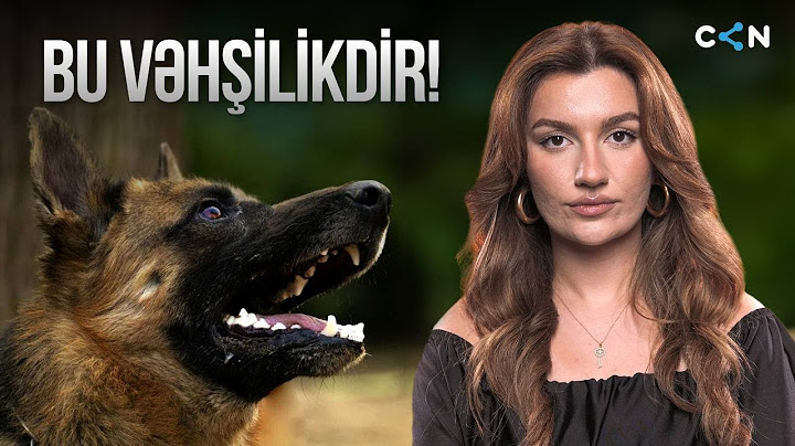 Gör Nə Deyirəm, Bu Vəhşilikdir!