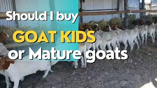 Should I buy Goat Kids or Mature as A Beginner Farmer