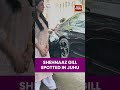 Shehnaaz Gill Spotted In Juhu For A Meeting, Actress Keeps It Chic In Casual Look #shorts