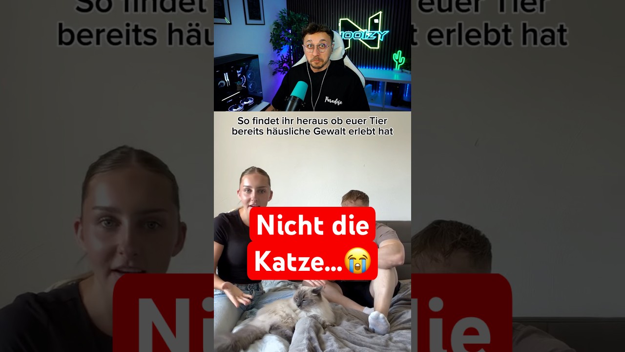 Wer braucht hier eigentlich Hilfe?😳