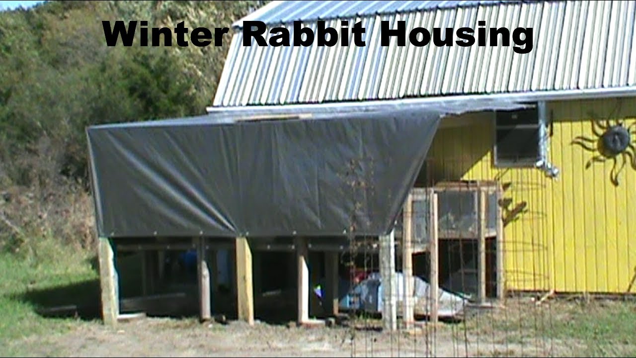 Easy Winter Shelter for Rabbits YouTube