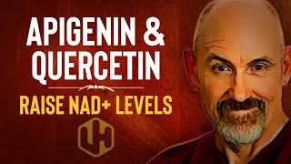 RAISE NAD+ WITH APIGENIN & QUERCETIN: Reduce CD38 To Boost NAD+ Levels [2021]