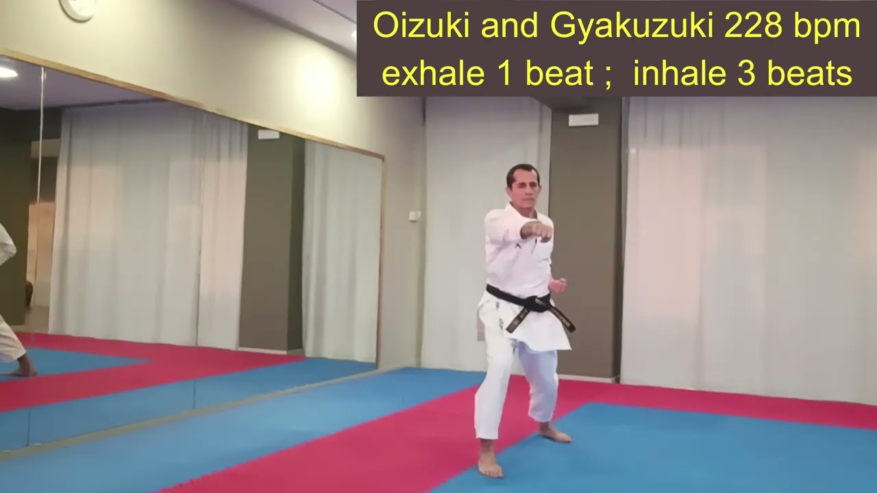 Mastering Oi Zuki and Gyaku Zuki: Metronome Training at 228 BPM