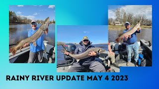 Rainy River Update May 4 2023 by After 5 Outdoors 274 views 1 year ago 53 seconds