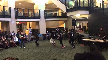 Psi Sigma Phi UNC Charlotte DGC Picnic Spring 2015 Pt. 1