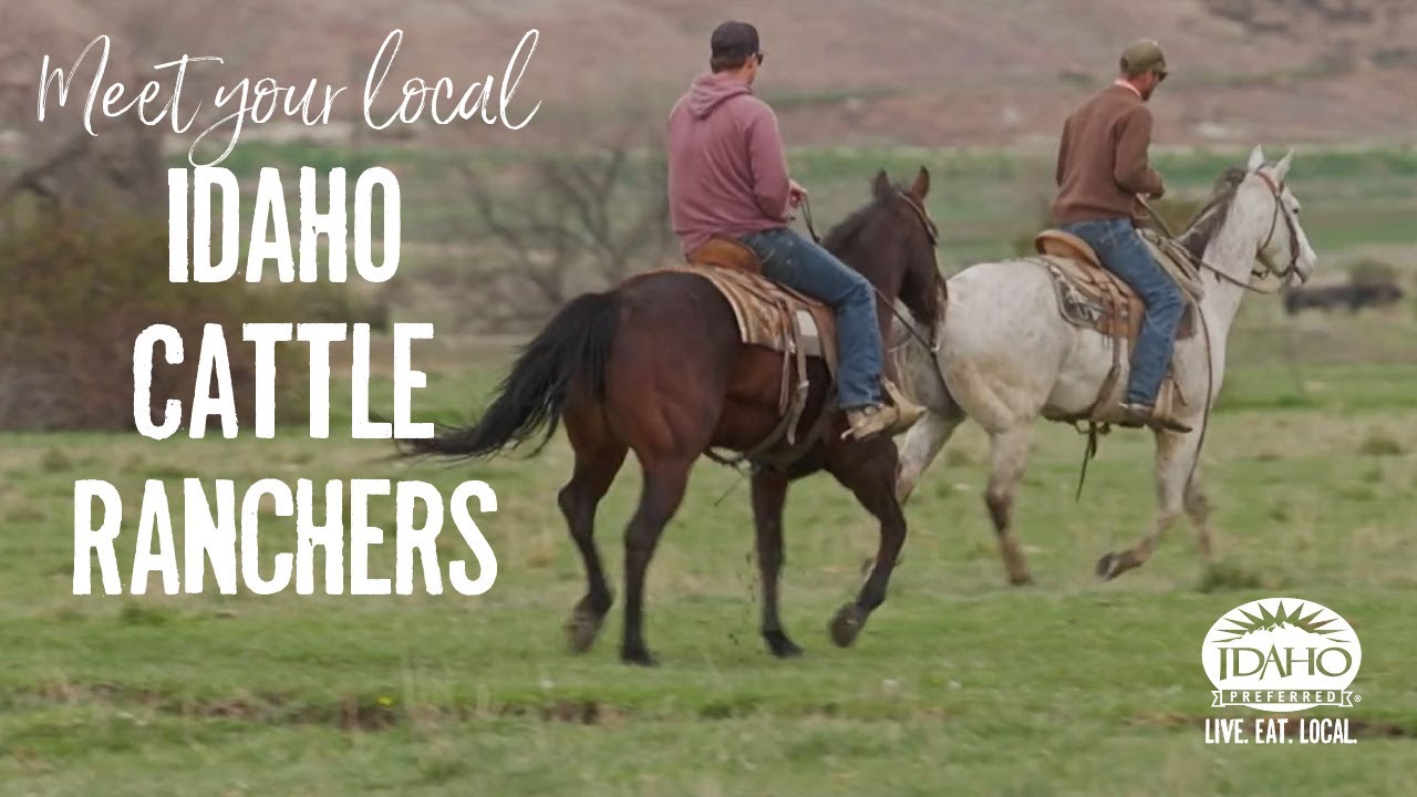Van Lith Ranch Origin Story Payette, Idaho idahocattle idahobeef