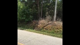 Lots And Land for sale - Greenfield Rd Theo Martin, Westminster, SC 29693