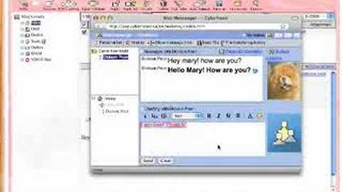 Cyberhood ECP Tutorial (Web Messenger)