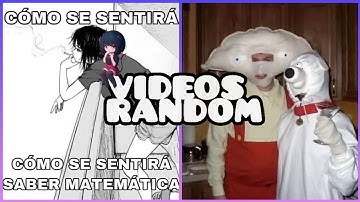 VIDEOS RANDOM | SHITPOST #8