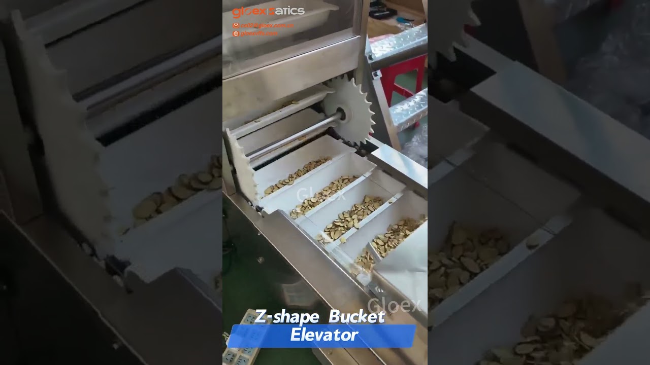 GSS-S-0079-Granule Pillow Bag Packaging Machine