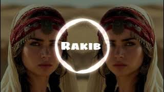 New arabi gaan || আরবি গান || Tiktok viral song |bass booste (slowed reverb) advice|new Arabic song