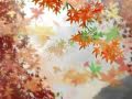【鏡音レン】椛路【日文歌詞+中文字幕】