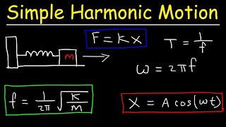 Introduction to Simple Harmonic Motion|Physics