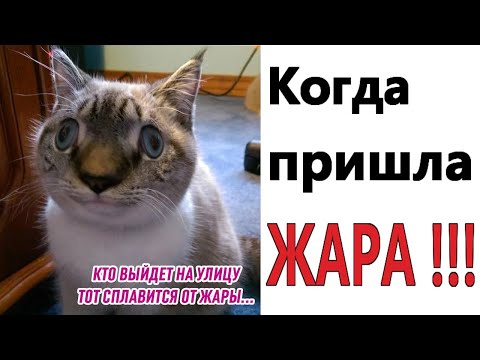 КОГДА ПРИШЛА ЖАРА!!!  Лучшие МЕМЫ, ПРИКОЛЫ, шутки, смешные истории от Доми шоу